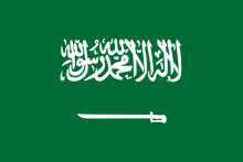 Saudi Arabia Imuna Nhsmun Model Un